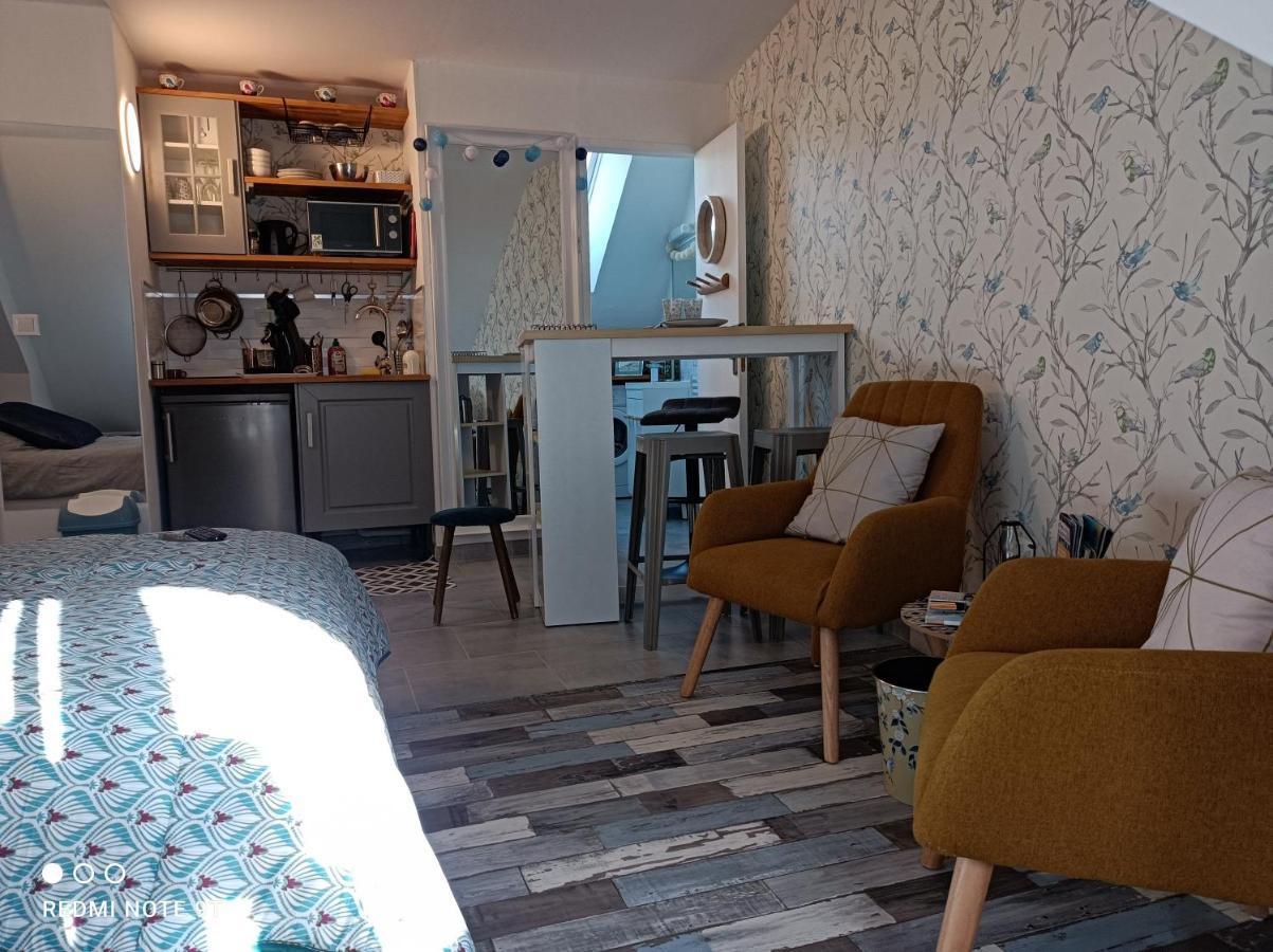 Tres Beau Studio Climatisation, Trois Etoiles, Parking A Velo, Velos En Option, Parking Prive Jardin Montargis Exterior photo