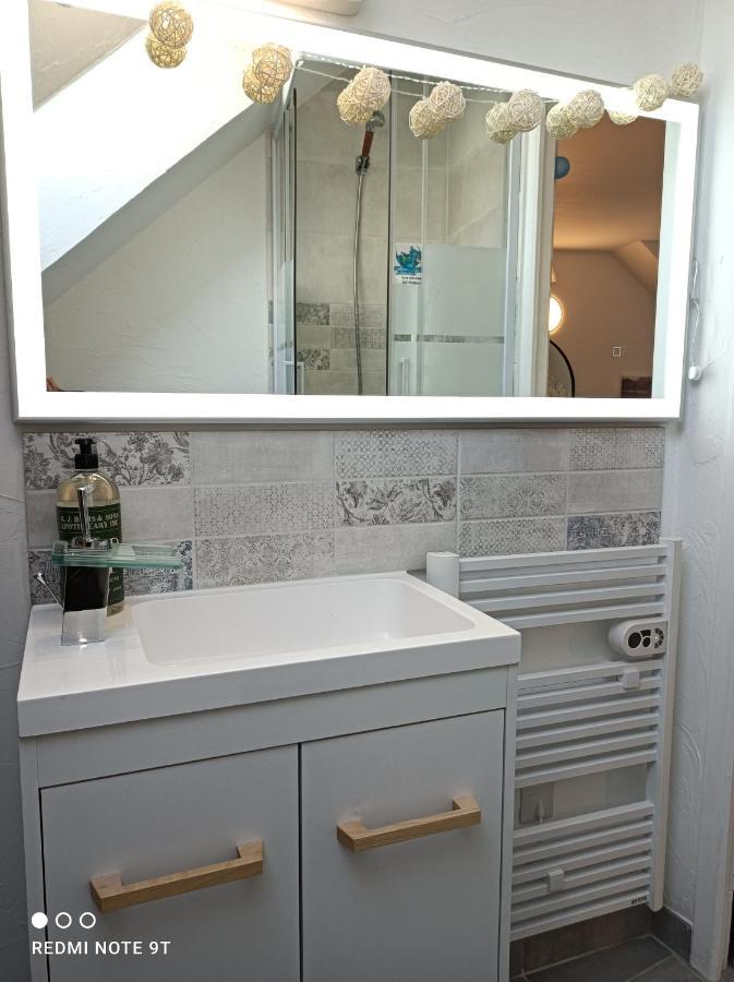 Tres Beau Studio Climatisation, Trois Etoiles, Parking A Velo, Velos En Option, Parking Prive Jardin Montargis Exterior photo