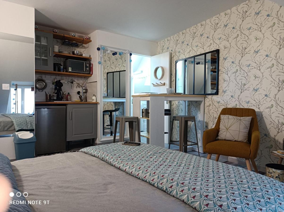 Tres Beau Studio Climatisation, Trois Etoiles, Parking A Velo, Velos En Option, Parking Prive Jardin Montargis Exterior photo
