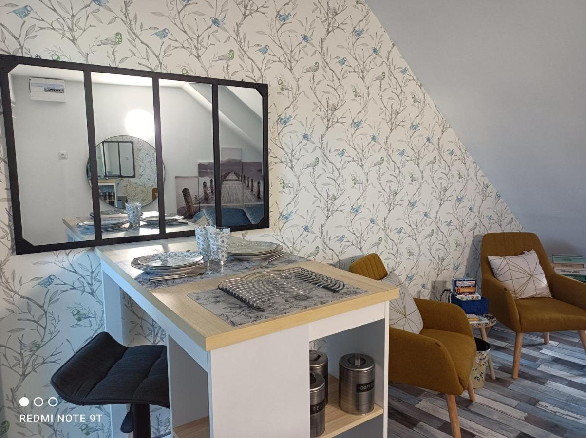 Tres Beau Studio Climatisation, Trois Etoiles, Parking A Velo, Velos En Option, Parking Prive Jardin Montargis Exterior photo
